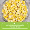 Nutristore Emergency Buckets | Premium Freeze-Dried Vegetabl...