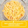 Nutristore Freeze-Dried Cheddar Cheese Shredded | Amazing Ta...