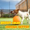 Giant Dog Tennis Ball Big Pet Toys Outdoor Sports Ball with ...