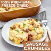 Nutristore Freeze Dried Sausage | Pre-Cooked Ground Pork Mea...
