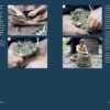 Primitive Technology: A Survivalist's Guide to Building Tool...