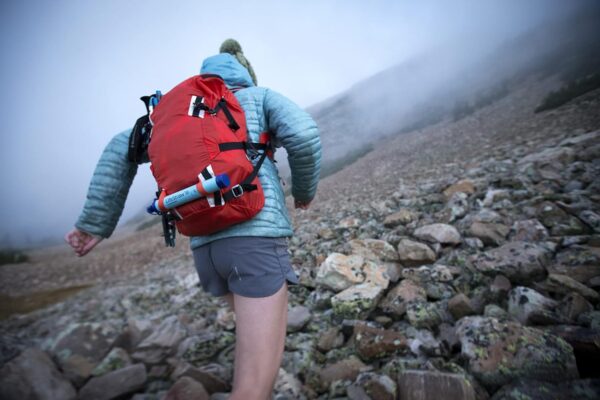 LifeStraw Personal Water Filter for Hiking, Camping, Travel,...