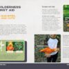 Bushcraft Kid: Survive in the Wild and Have Fun Doing It!