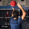 Champion Sports Rubber Volleyball, Official Size, for Indoor...