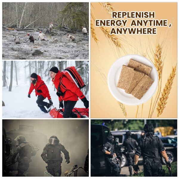 Emergency Food Ration Bars 1 Pack, Original Flavor Survival ...