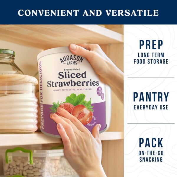 Augason Farms Freeze Dried Sliced Strawberries Can, Emergenc...