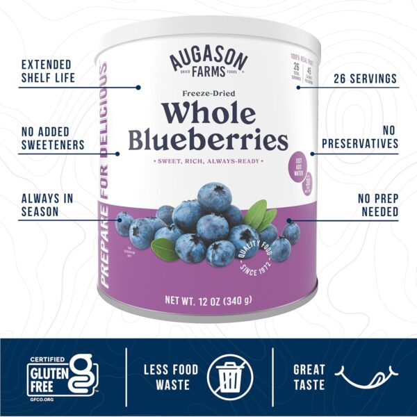 Augason Farms Freeze Dried Whole Blueberries Can, Emergency ...