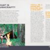 Bushcraft Kid: Survive in the Wild and Have Fun Doing It!