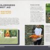 Bushcraft Kid: Survive in the Wild and Have Fun Doing It!