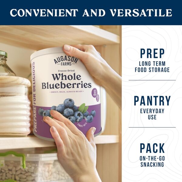 Augason Farms Freeze Dried Whole Blueberries Can, Emergency ...