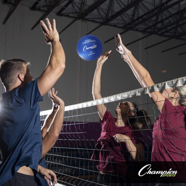 Champion Sports Rubber Volleyball, Official Size, for Indoor...
