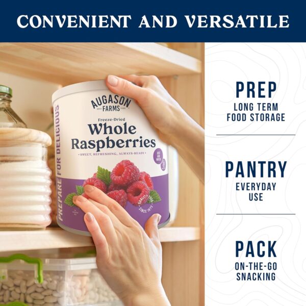 Augason Farms Freeze Dried Whole Raspberries Can, Emergency ...