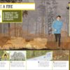 Survival for Beginners: A step-by-step guide to camping and ...