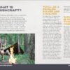 Bushcraft Kid: Survive in the Wild and Have Fun Doing It!