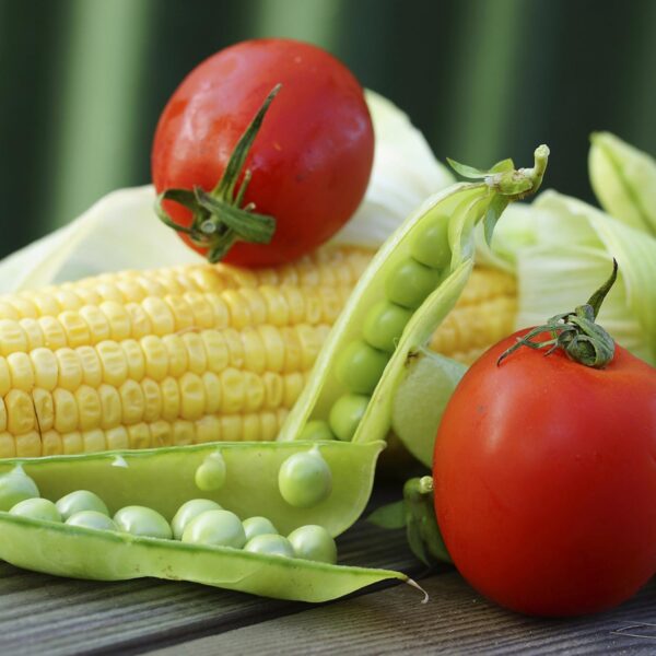 Augason Farms Vegetable Garden Seeds 13 Variety 1 lb No. 10 ...