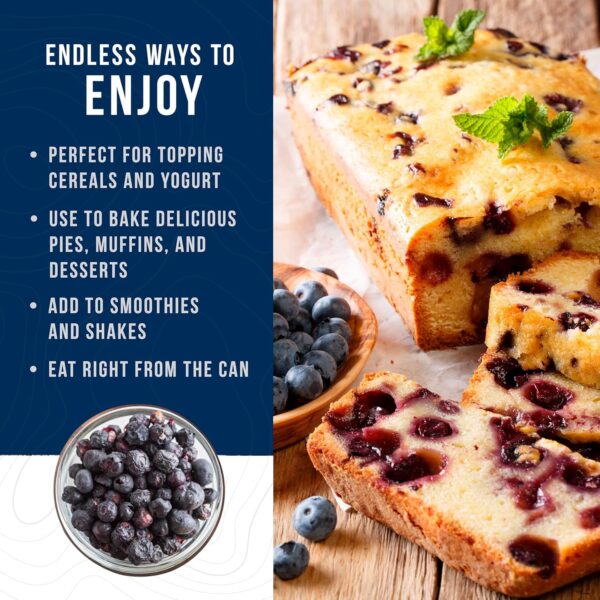 Augason Farms Freeze Dried Whole Blueberries Can, Emergency ...