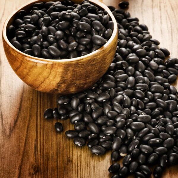 Augason Farms Dried Black Beans 4-Gallon Pail, Bulk Food Sto...