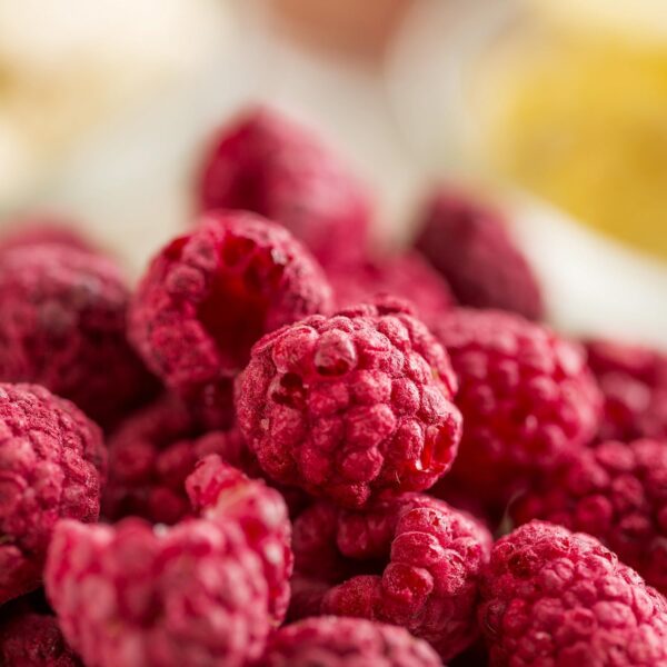 Augason Farms Dehydrated and Freeze-Dried Fruit Variety Pail...