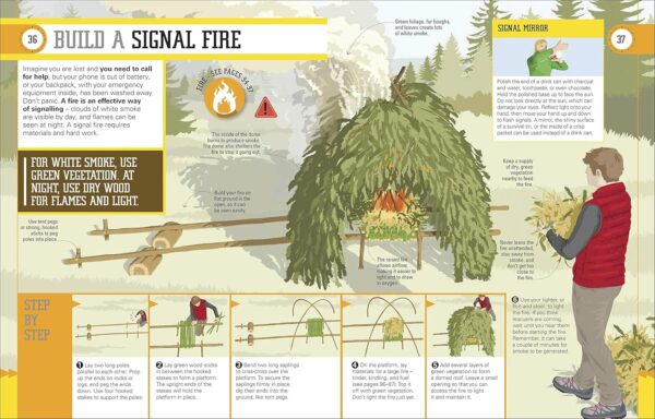 Survival for Beginners: A step-by-step guide to camping and ...