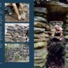 Primitive Technology: A Survivalist's Guide to Building Tool...
