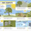 Survival for Beginners: A step-by-step guide to camping and ...
