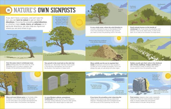 Survival for Beginners: A step-by-step guide to camping and ...