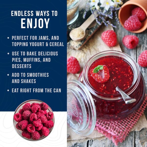 Augason Farms Freeze Dried Whole Raspberries Can, Emergency ...