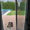 Sliding Door Security Lock - Sliding Patio Door Lock for Gla...