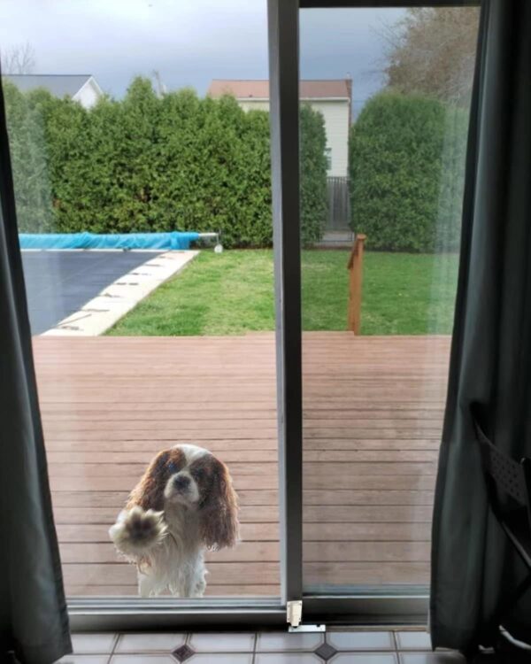 Sliding Door Security Lock - Sliding Patio Door Lock for Gla...