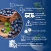 Ready Harvest Freeze-dried Blueberries Fruit Healthy Snacks ...
