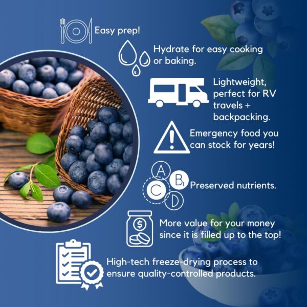 Ready Harvest Freeze-dried Blueberries Fruit Healthy Snacks ...