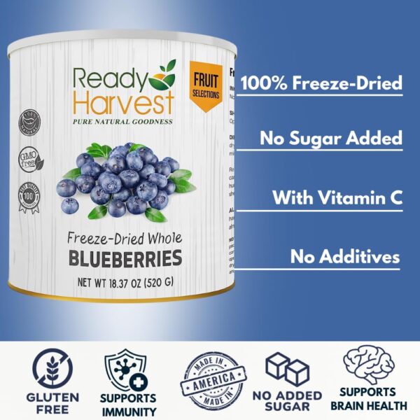 Ready Harvest Freeze-dried Blueberries Fruit Healthy Snacks ...