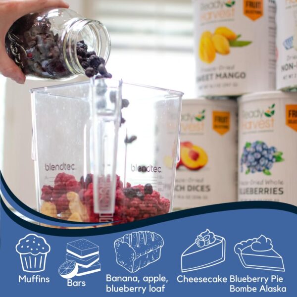Ready Harvest Freeze-dried Blueberries Fruit Healthy Snacks ...