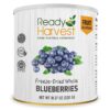 Ready Harvest Freeze-dried Blueberries Fruit Healthy Snacks ...
