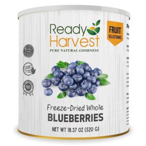Ready Harvest Freeze-dried Blueberries Fruit Healthy Snacks ...