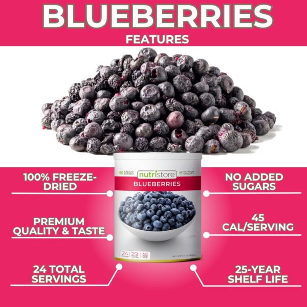 Nutristore Freeze Dried Blueberries | #10 Can Fruit | Perfec...