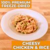 Nutristore | Freeze-Dried Cheesy Chicken and Rice | Emergenc...