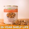 Nutristore | Freeze-Dried Blueberry Granola | Emergency Surv...