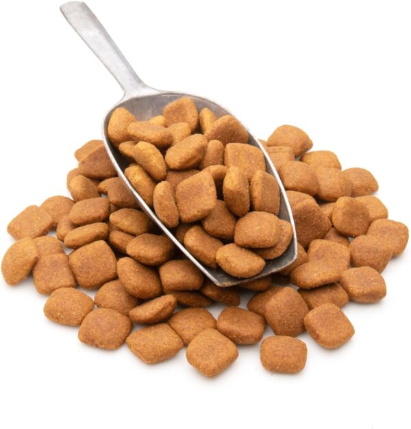 SOS Food Lab Emergency Dog Food Ration (40 Oz) - Pet Food Co...