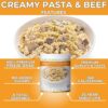 Nutristore Freeze-Dried Creamy Pasta and Beef | Emergency Su...