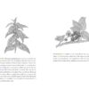 Wild Wisdom: Primal Skills to Survive in Nature