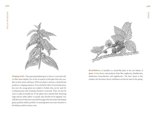 Wild Wisdom: Primal Skills to Survive in Nature