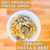 Nutristore Freeze-Dried Creamy Pasta and Beef | Emergency Su...