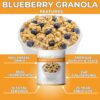 Nutristore | Freeze-Dried Blueberry Granola | Emergency Surv...