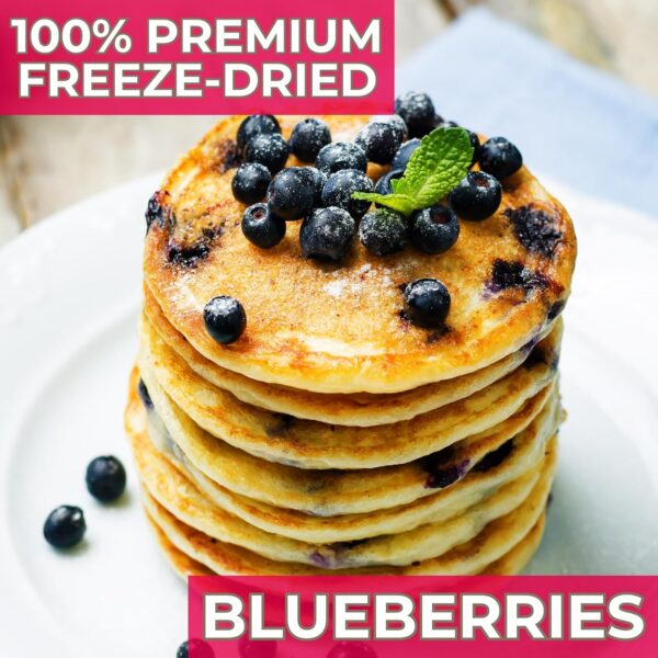 Nutristore Freeze Dried Blueberries | #10 Can Fruit | Perfec...