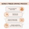 Mora Premium Freeze Dried Sapodilla (Chikoo) SuperFruit Crac...