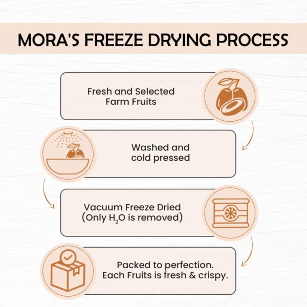 Mora Premium Freeze Dried Sapodilla (Chikoo) SuperFruit Crac...