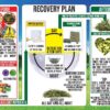 Sherwood Pet Health Rabbit Emergency kit and Bulk Recovery F...