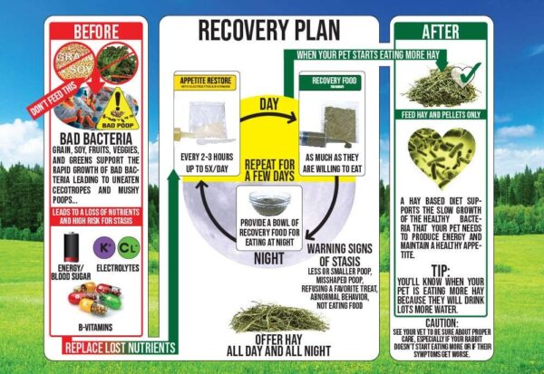 Sherwood Pet Health Rabbit Emergency kit and Bulk Recovery F...