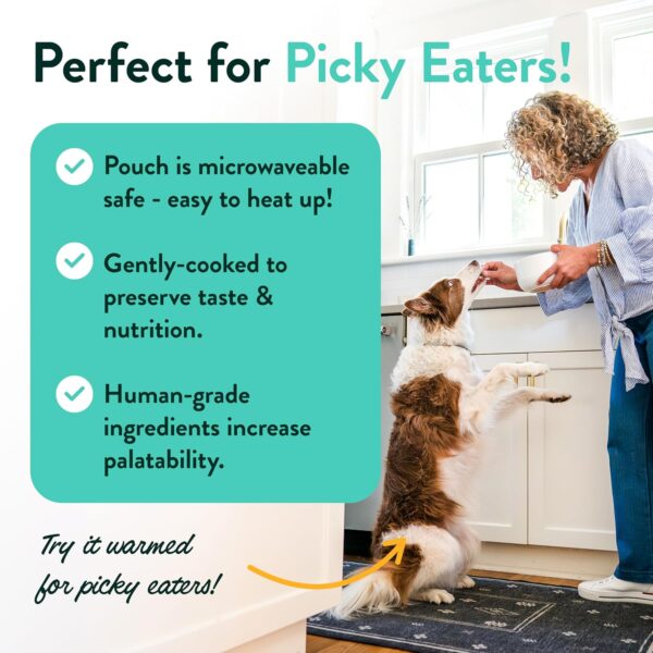 Portland Pet Food Company Mixed Wet Dog Food Pouches Variety...
